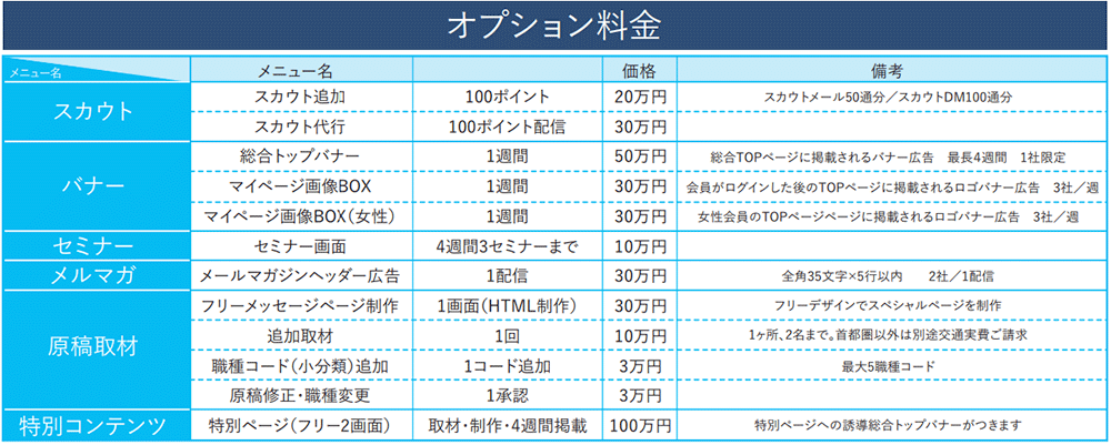 日経キャリアNETのオプション料金